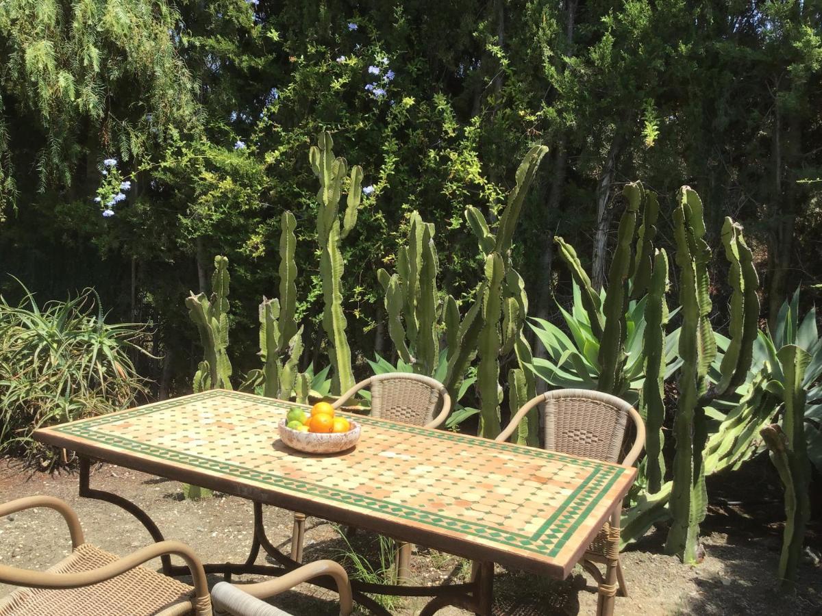 Villa Pinsapo Estepona Exteriör bild